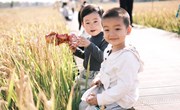 金秋寻趣·乐享丰收——记锦溪幼儿园小托班秋游活动