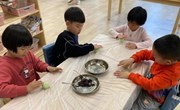 “清”风徐来、春和景“明”——记锦溪幼儿园清明节系列活动